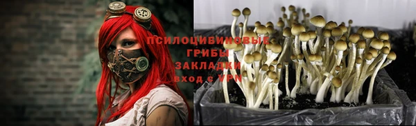 марихуана Алексеевка