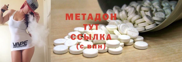 индика Алексин
