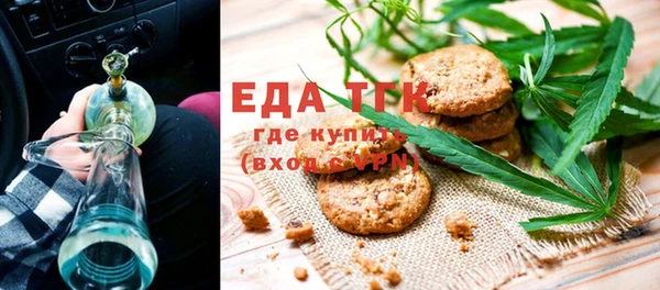 индика Алексин