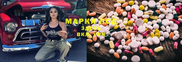 индика Алексин
