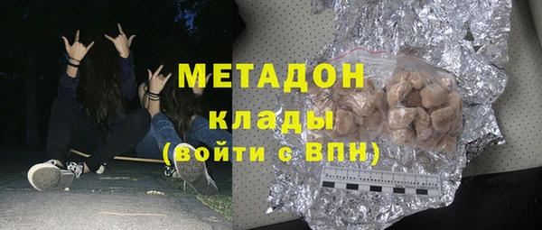индика Алексин