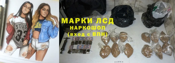 индика Алексин
