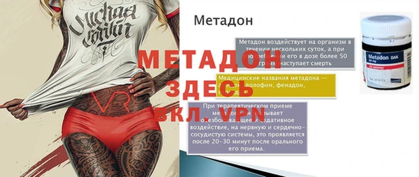 индика Алексин