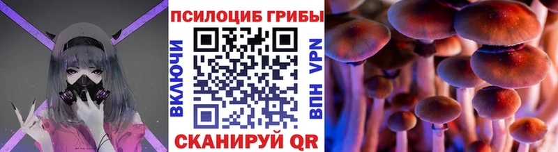 Псилоцибиновые грибы MAGIC MUSHROOMS  наркошоп  hydra ССЫЛКА  Серов 
