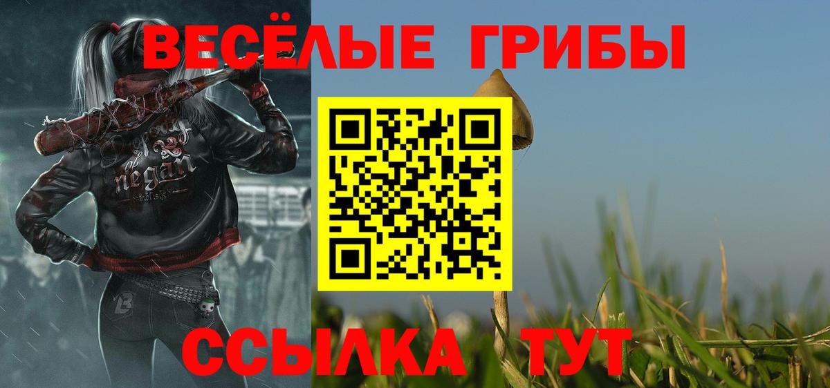 Псилоцибиновые грибы Magic Shrooms Серов